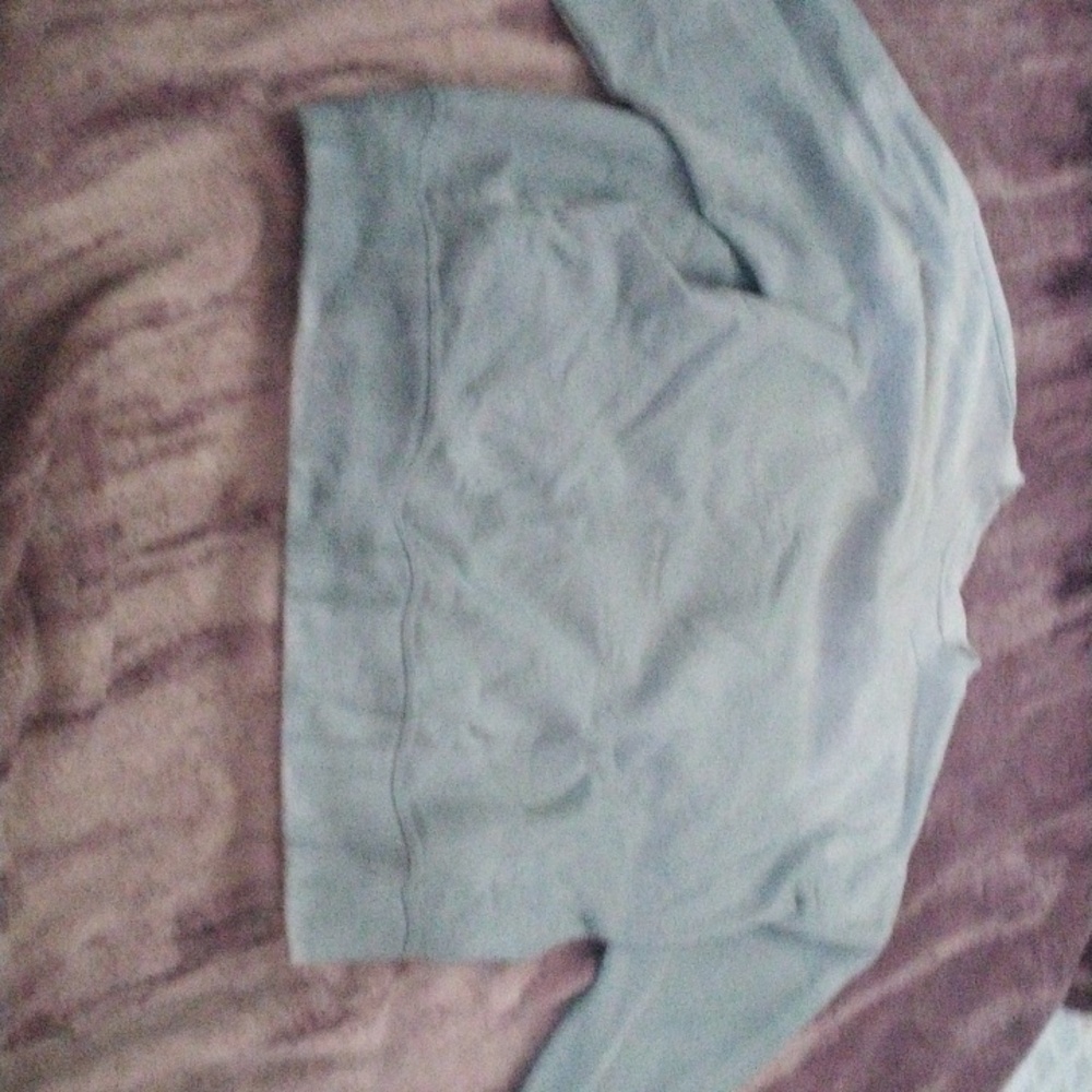 Blue champion sweater / jumper size Medium